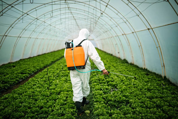 Best Affordable Exterminators  in Prosperity, SC