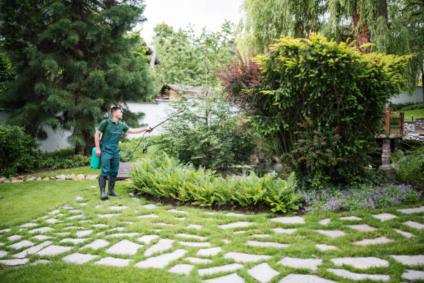 Wasp Removal Services in Prosperity, SC