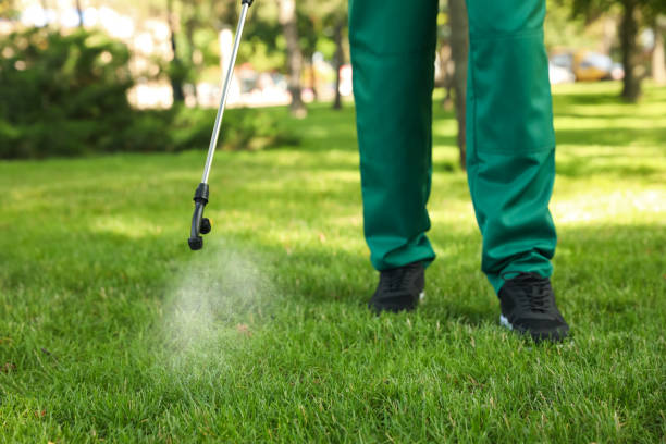 Best Flea Control Services  in Prosperity, SC