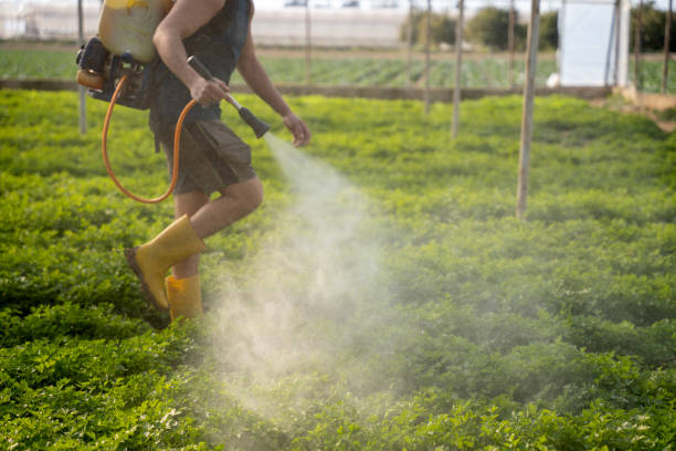 Best Wildlife Control Services  in Prosperity, SC