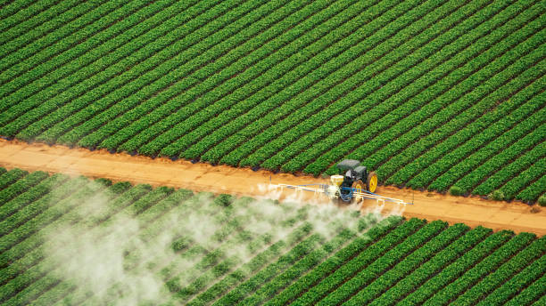 Best Pest Removal Services  in Prosperity, SC
