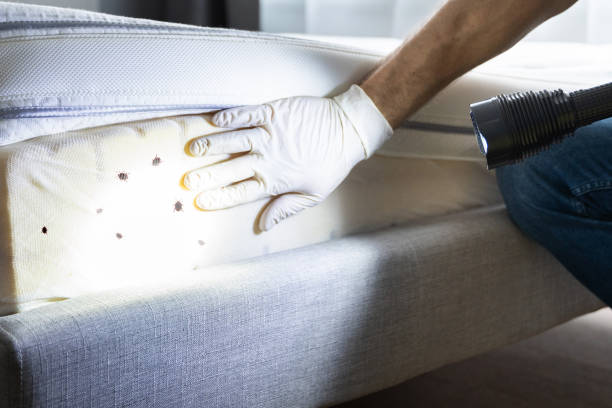 Reliable Prosperity, SC Pest Control Solutions