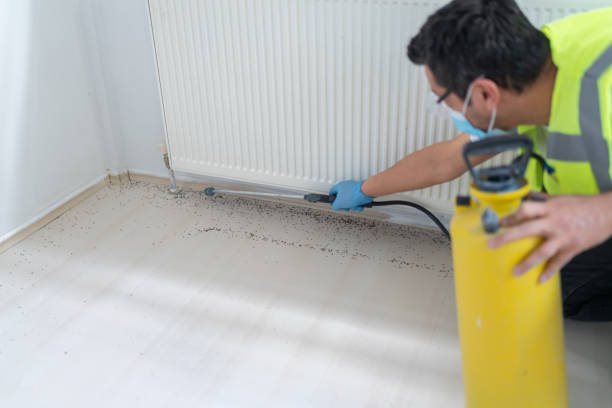 Best Mosquito Control Services  in Prosperity, SC