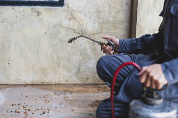 Best Residential Pest Control  in Prosperity, SC