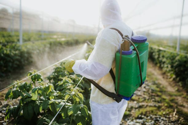 Best Best Pest Control Companies  in Prosperity, SC